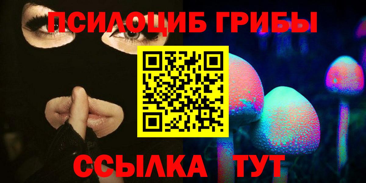 Галлюциногенные грибы Psilocybe Зеленогорск